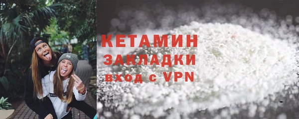 индика Вяземский