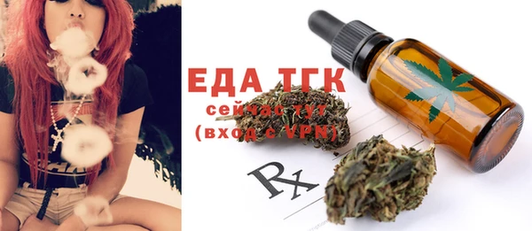 индика Вяземский