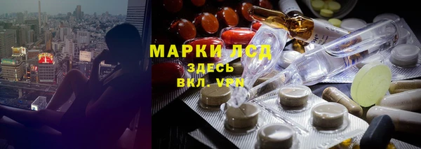 индика Вяземский