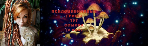 индика Вяземский