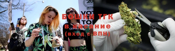 индика Вяземский