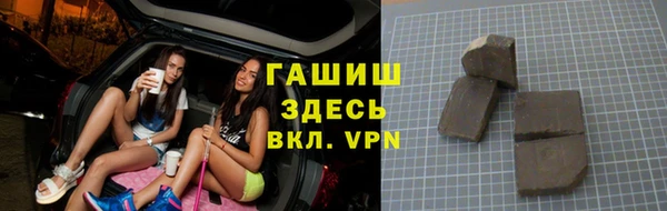 индика Вяземский