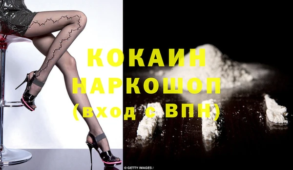 индика Вяземский