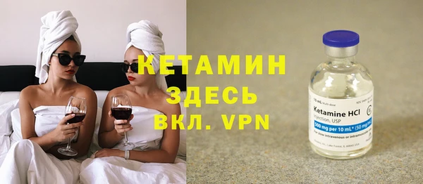 индика Вяземский