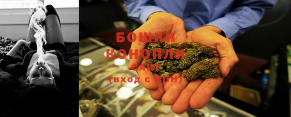 индика Вяземский