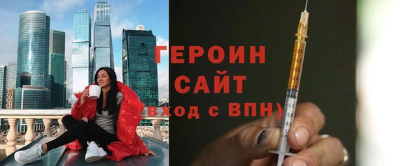 индика Вяземский