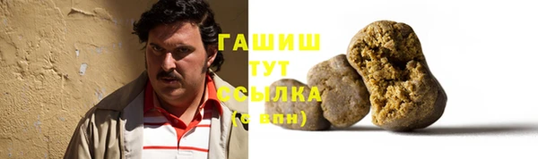 индика Вяземский