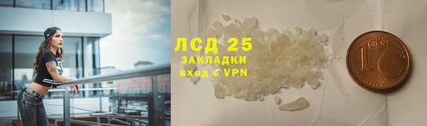 индика Вяземский
