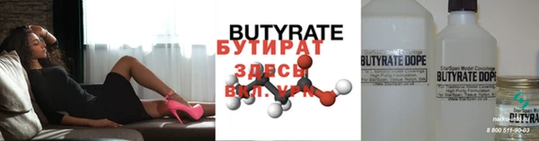 индика Вяземский