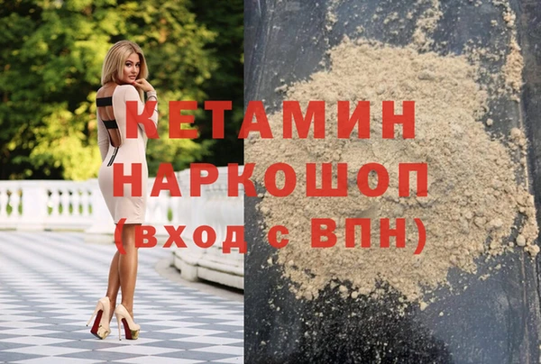 индика Вяземский