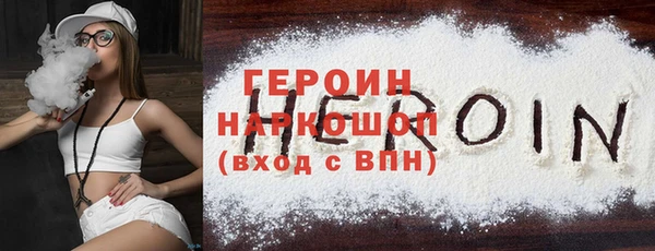 индика Вяземский