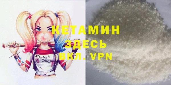 индика Вяземский