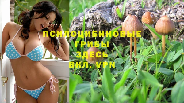 мескалин Вязьма