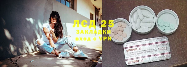 индика Вяземский