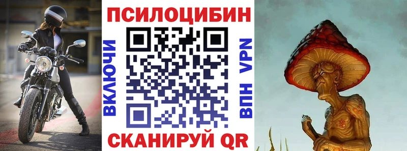 Галлюциногенные грибы прущие грибы Купить Сураж